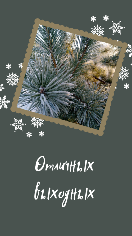 Дизайн сториз