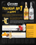 рекламная полоса в журнале