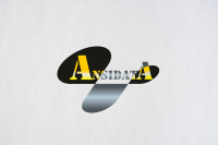 Ansidata