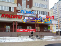 Вывеска магазина цветов Незабудка