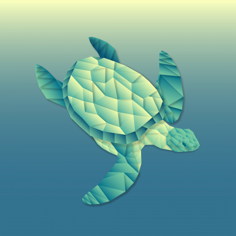 vector turtle