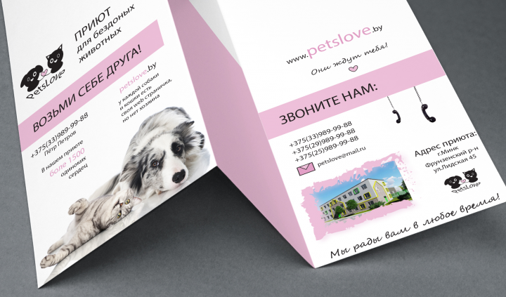 brochure design