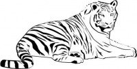 Тигр