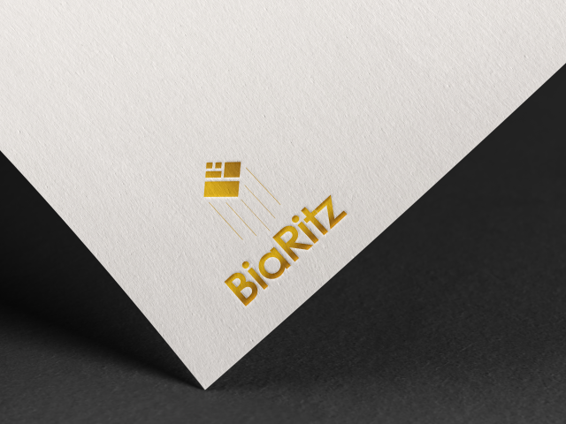 BiaRitz
