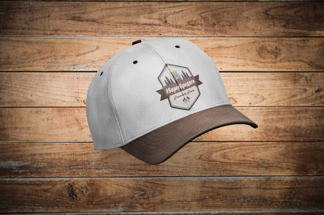 Дизайн бейсболки с логотипом