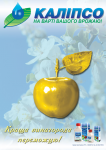Лифлет (обложка)