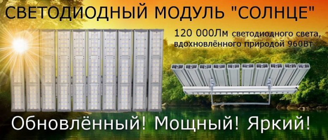 Работа 3171545