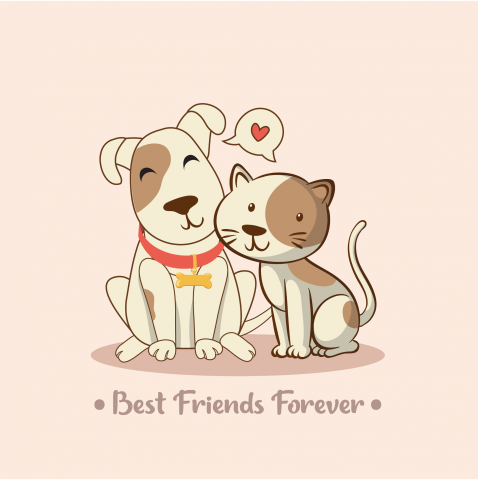 Best friends forever