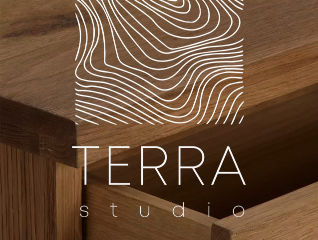 Логотип TERRA