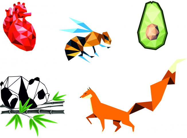 Принты, надписи, веторная графика