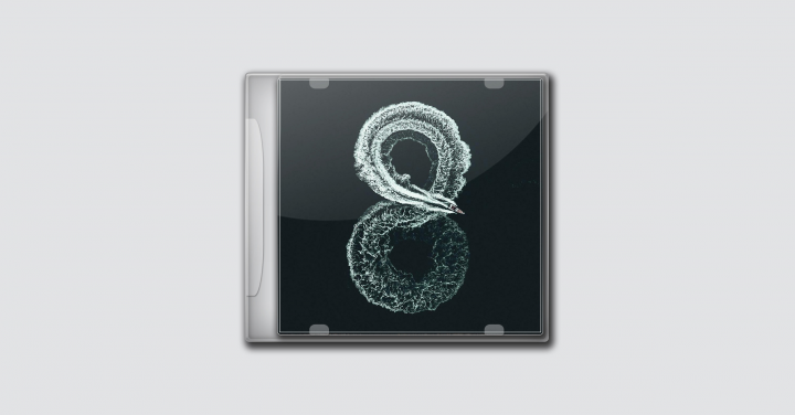 Stephan Miller - 8