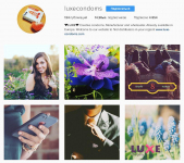 Ведение страницы бренда в Instagram