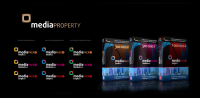 Фирменный стиль компании "MEDIA PROPERTY"