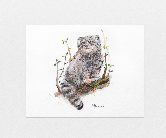 Manul