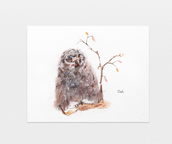 Owl