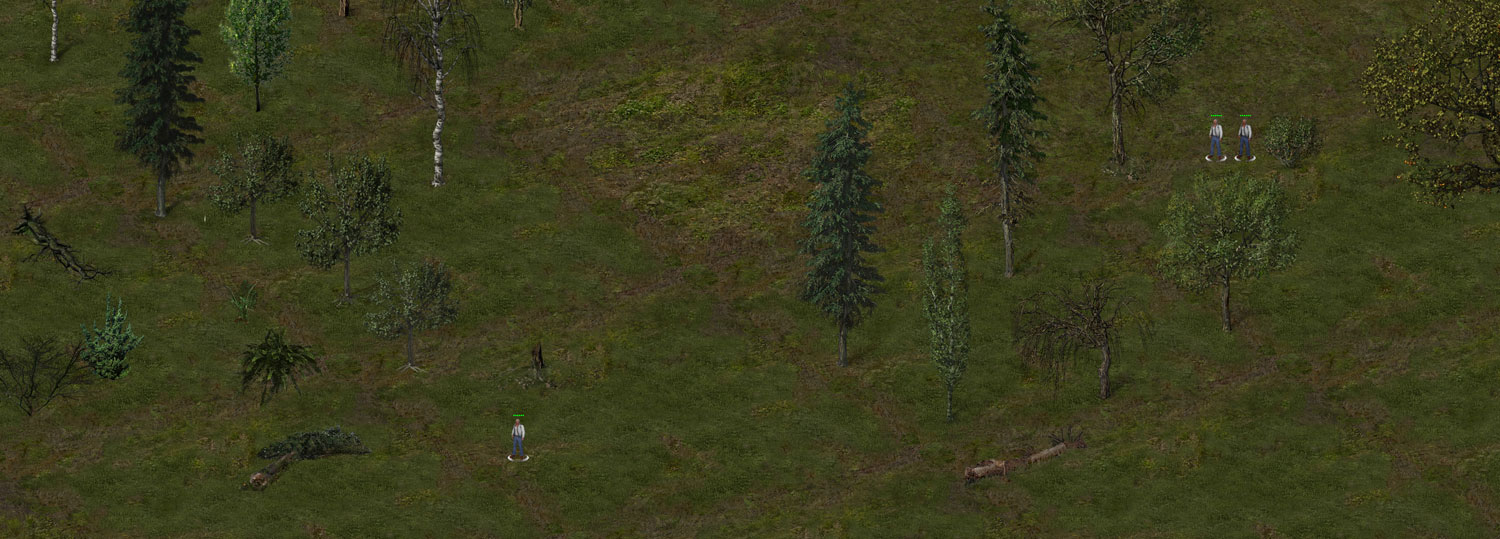 pic938934.jpg