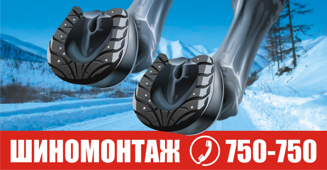 Работа 3497075