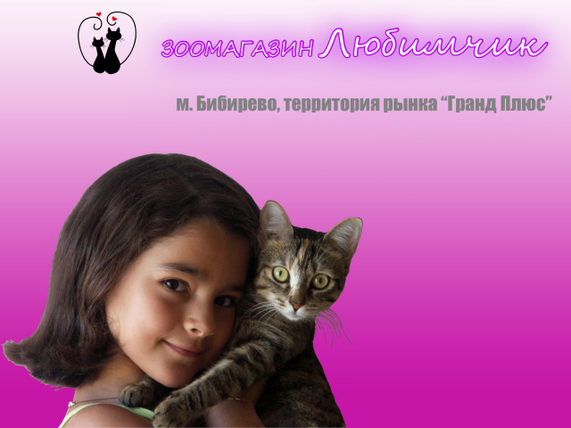 Плакат на самоклеящейся пленке