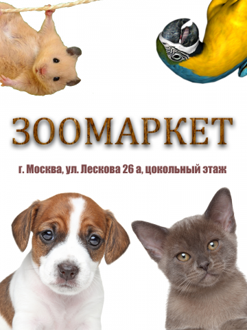 Плакат для прямоугольного штендера