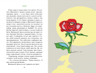 дипломный проект "Иллюстрирование книги "Маленький принц""