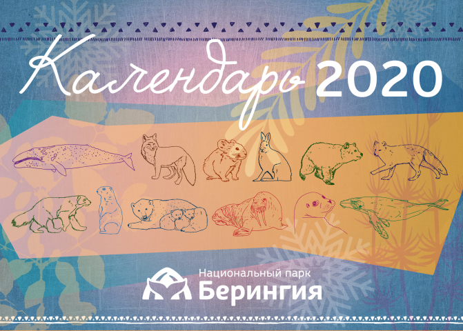 Разработка дизайна календаря для заповедника Берингия