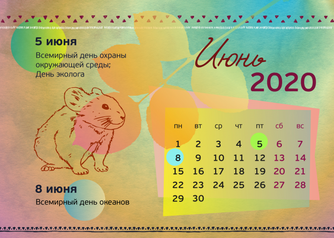 Разработка дизайна календаря для заповедника Берингия