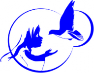 Работа 2051949