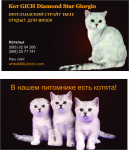 Работа 1792430