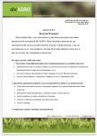 Шаблон фирменного бланка