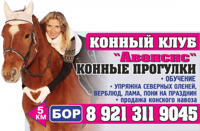баннер для конного клуба