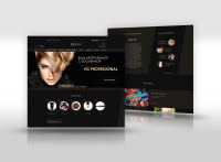 VG Professional