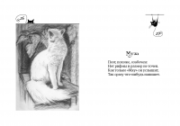 книжка стихов