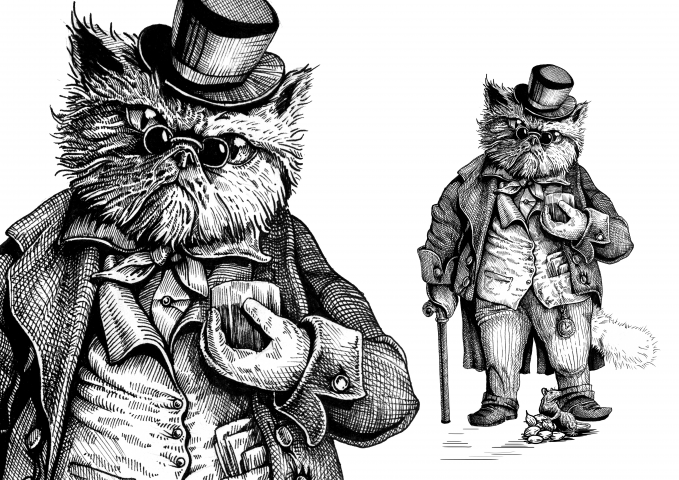 whiskey cat