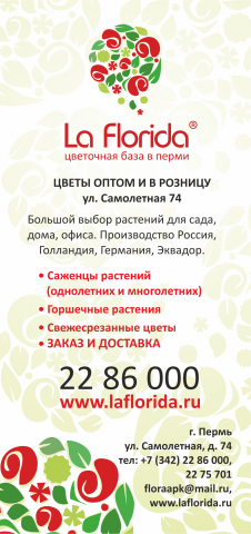 Флаер La Florida, формат 210х100 мм