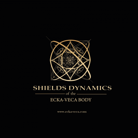 SHIELDS DYNAMICS