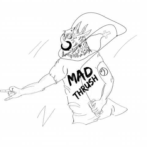 Проект Mad Thrush