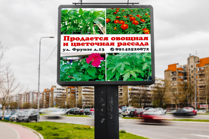 Работа 3835306