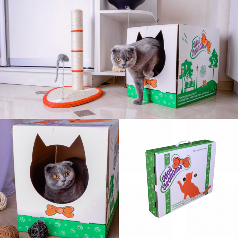 Кошачий туалет. Конструирование и дизайн