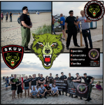 Обрисовка, стилизация рисунка. Создание шифрон, плакат