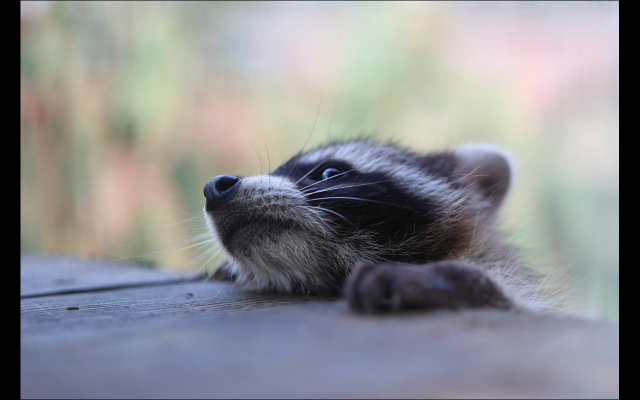 Работа 3303061