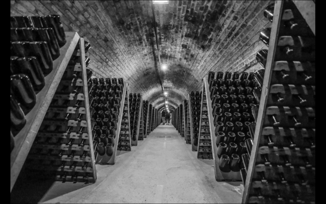 Работа 3303059