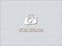 Работа 2356311