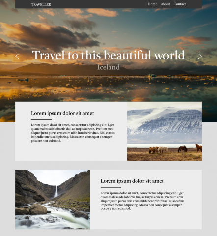 Traveller