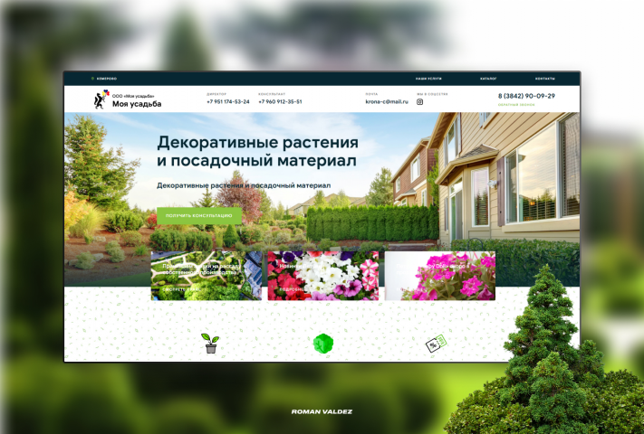 Создание ландшафтного дизайна под ключ
