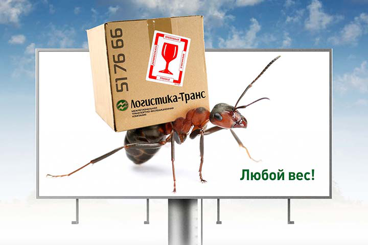 Компания Логистика-транс