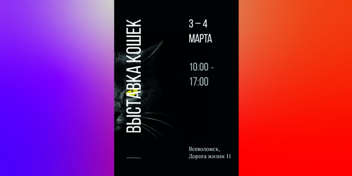 Баннер Выставка кошек. Всеволожск