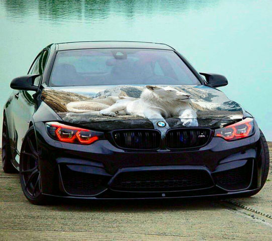 Ретушь, обработка фото