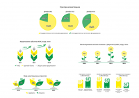 Инфографика для годового отчета