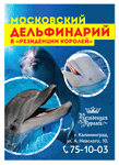 Листовка для дельфинария