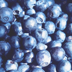 Работа 2897504